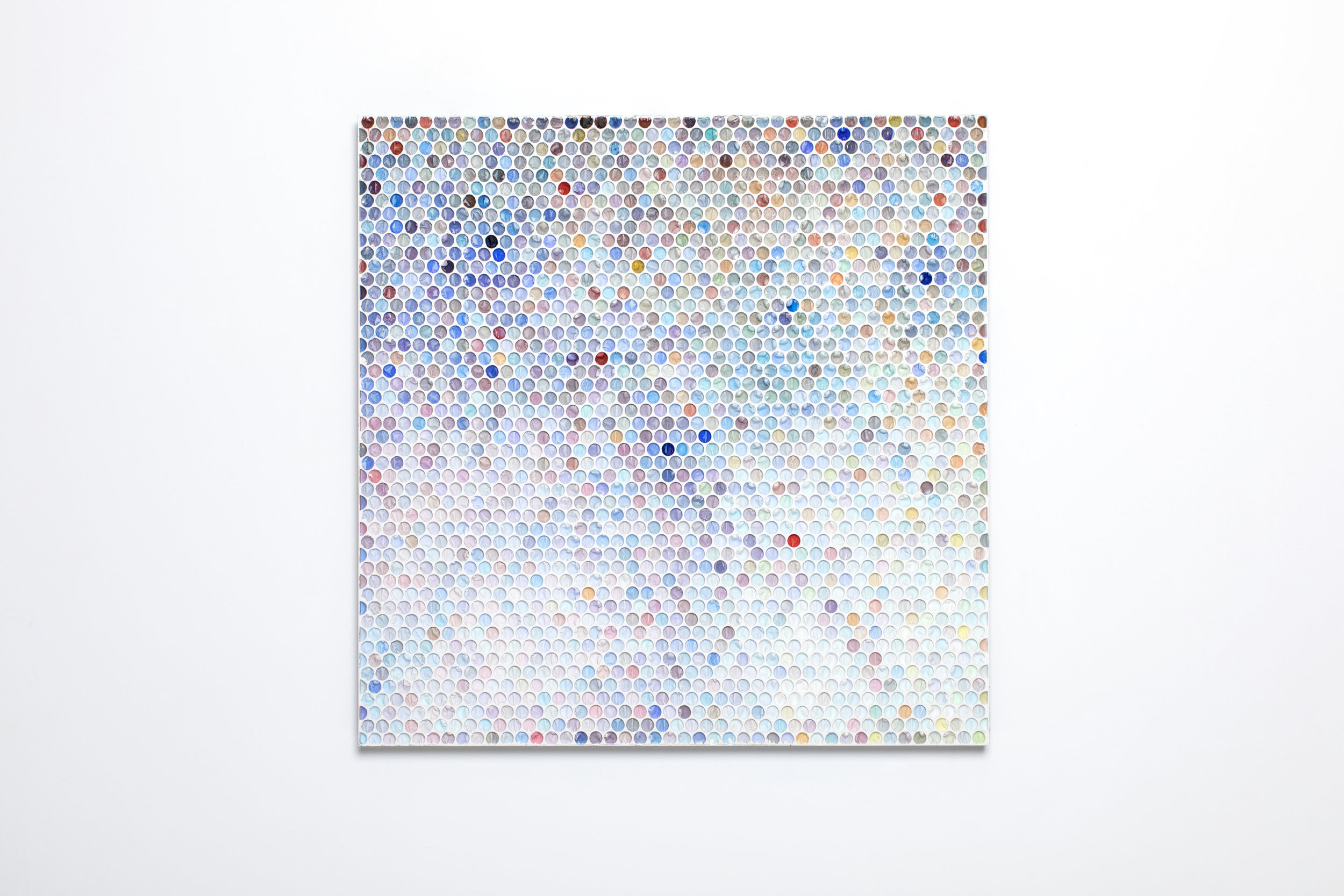 #1612 %22soft cluster%22 46x46x2inches paint on plaster in aluminum frame_front.jpg